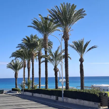 Apartment Rose Paralimni