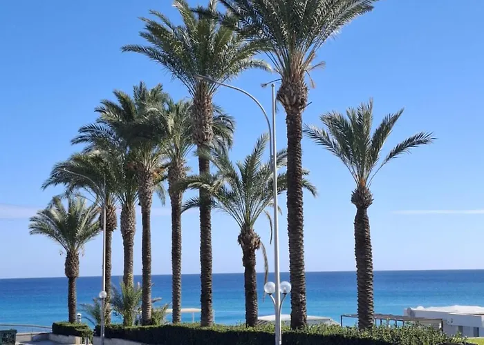 Apartment Rose Paralimni